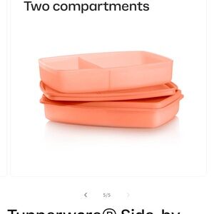 Tupperware side by side Coral Dual Container